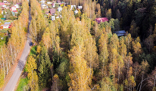 Лесные Поляны-1