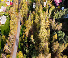 Лесные Поляны-1