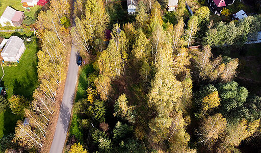 Лесные Поляны-1