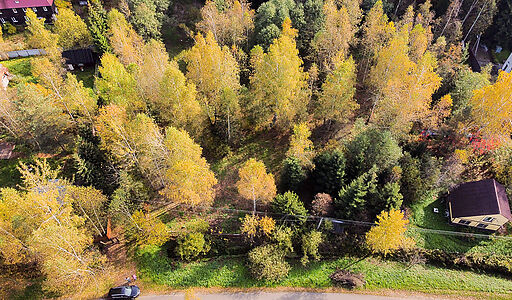 Лесные Поляны-1