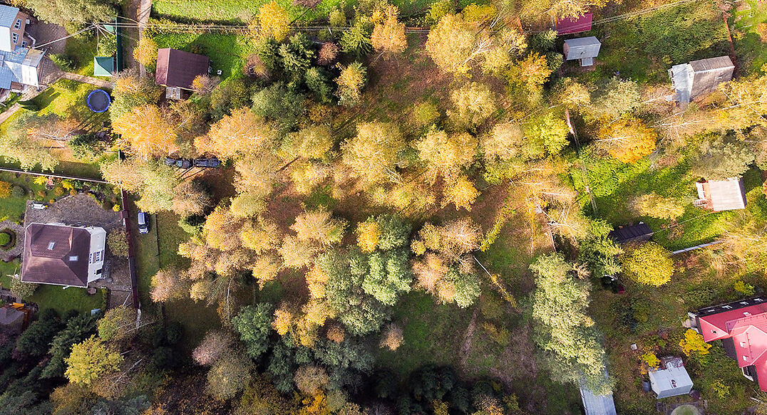 Лесные Поляны-1