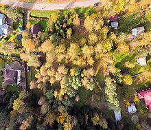 Лесные Поляны-1