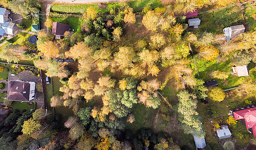 Лесные Поляны-1