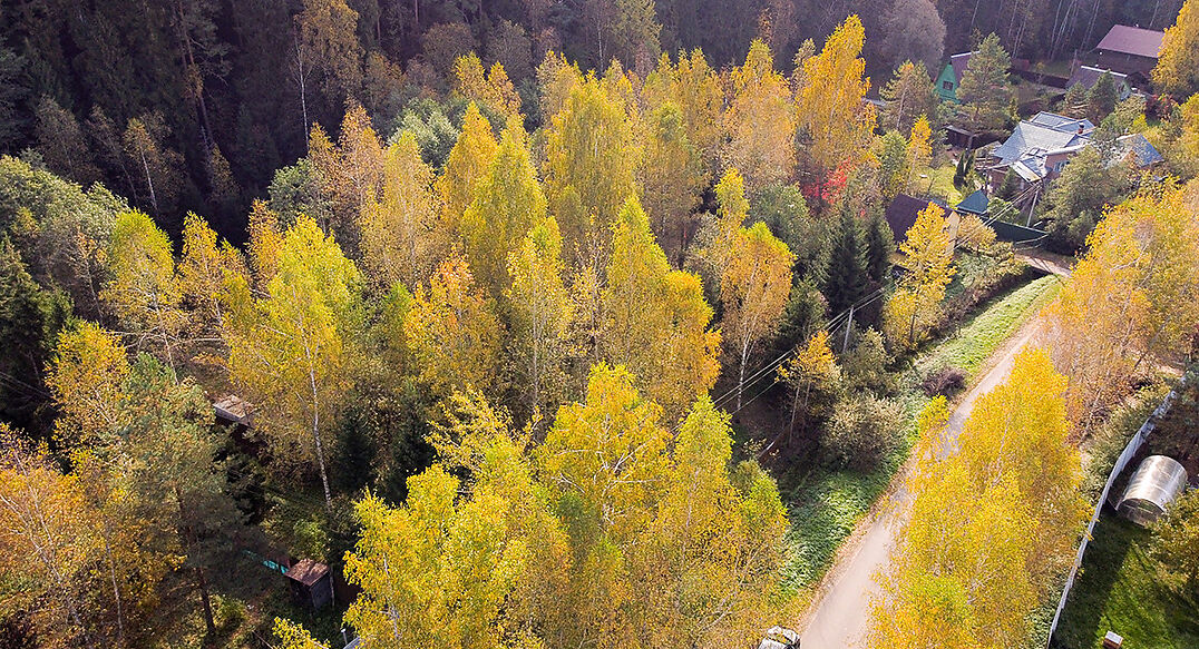 Лесные Поляны-1