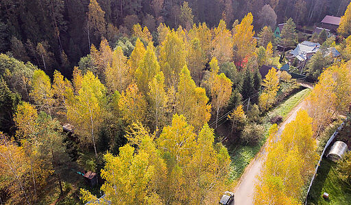 Лесные Поляны-1