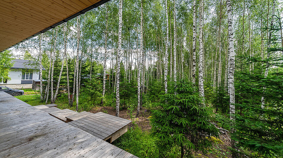 Дом у леса в Походкино Дача