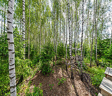 Дом у леса в Походкино Дача