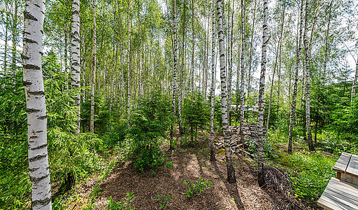 Дом у леса в Походкино Дача