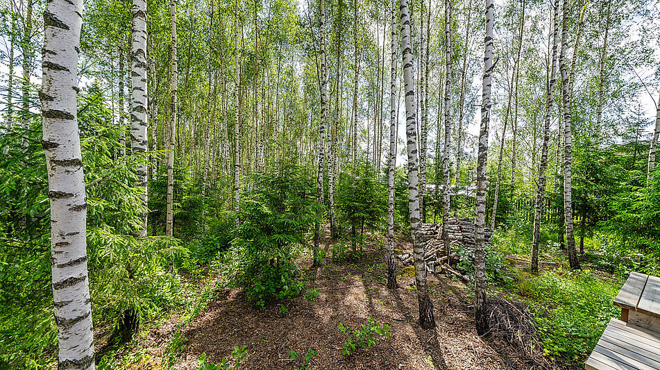Дом у леса в Походкино Дача