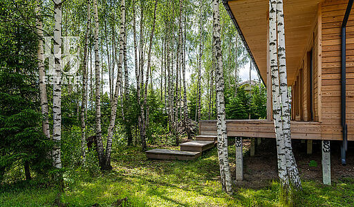 Дом у леса в Походкино Дача