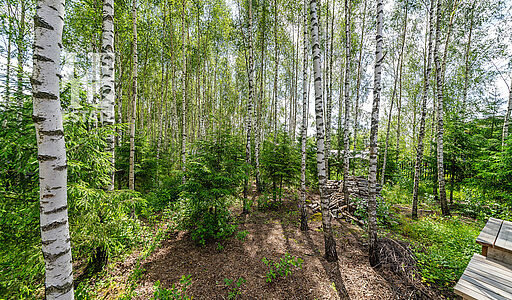 Дом у леса в Походкино Дача