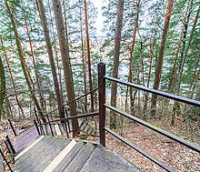 Дом в лесу в п. Николина гора