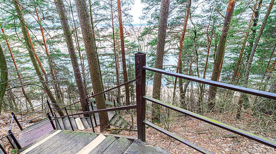 Дом в лесу в п. Николина гора