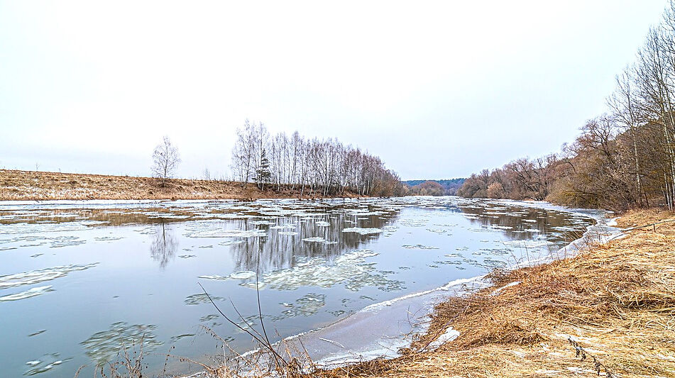 Дом в лесу в п. Николина гора