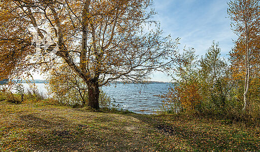 Эксклюзивный Дом  в Витенево