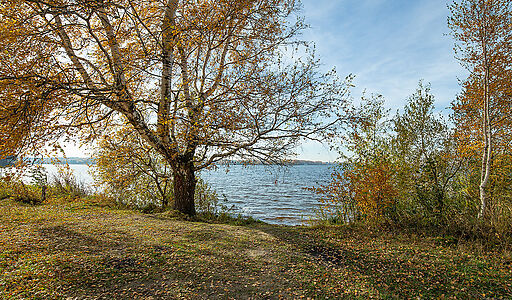 Эксклюзивный Дом  в Витенево