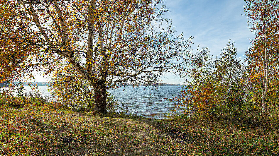 Эксклюзивный Дом  в Витенево