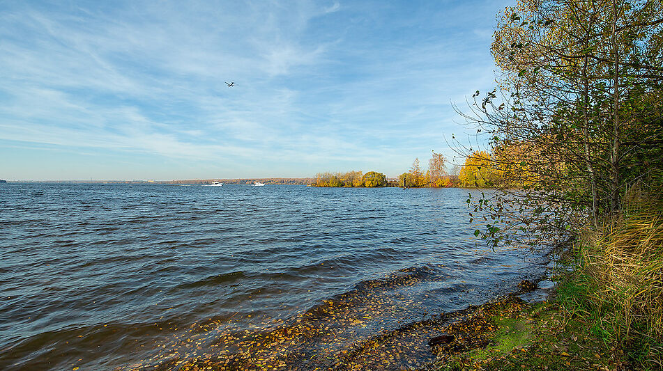 Эксклюзивный Дом  в Витенево