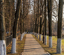 Таунхаус у озера в КП Довиль