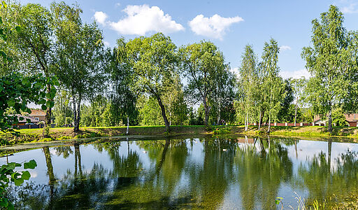 Дом у озера в ТСЖ Дмитровец