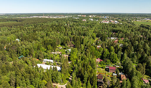 Лесной участок в Некрасовском