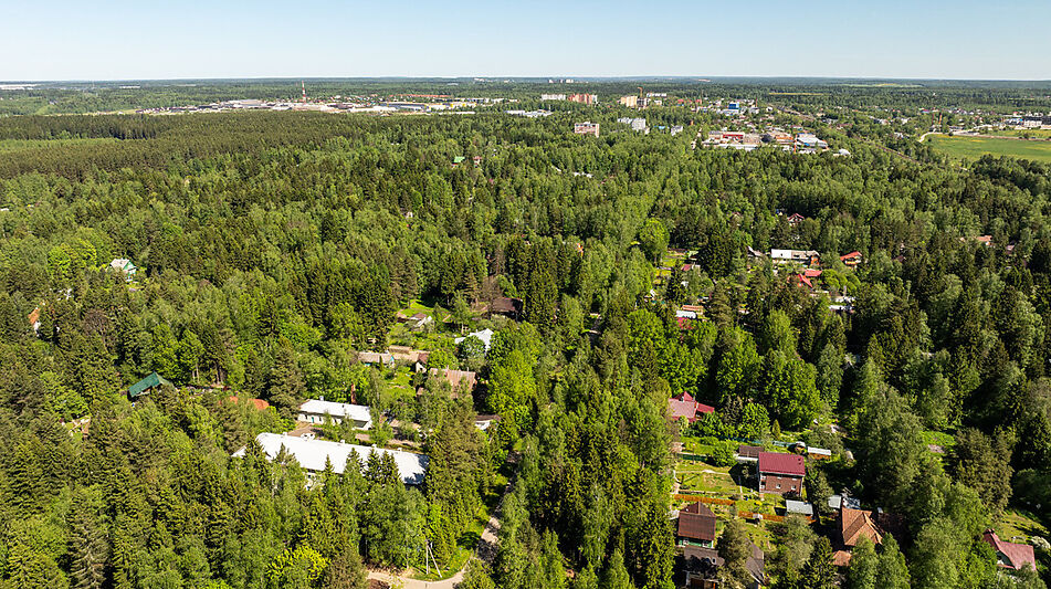 Лесной участок в Некрасовском