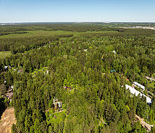 Лесной участок в Некрасовском