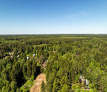 Лесной участок в Некрасовском