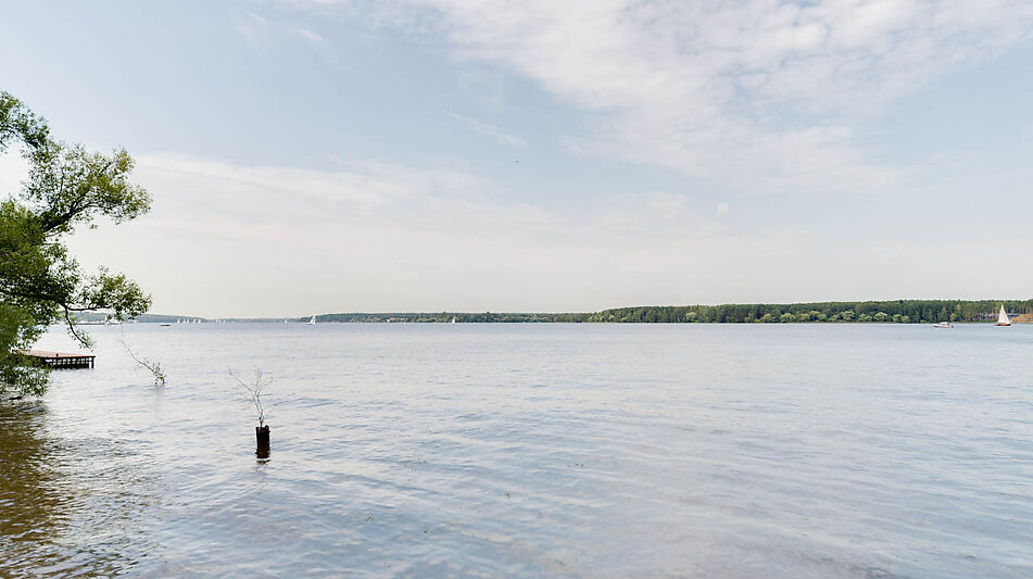 Дом у воды в д. Подрезово