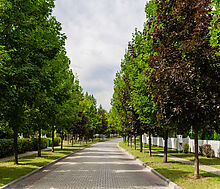 Готовый дом в Резиденции Бенилюкс