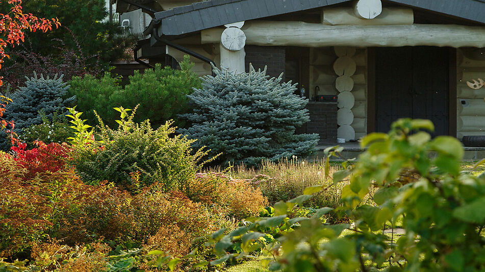 КЕДРОВАЯ УСАДЬБА в Овсянниково