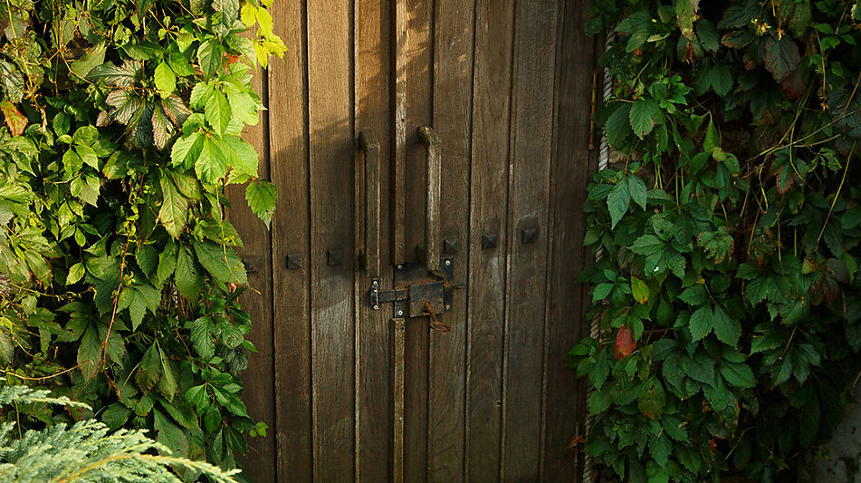 КЕДРОВАЯ УСАДЬБА в Овсянниково