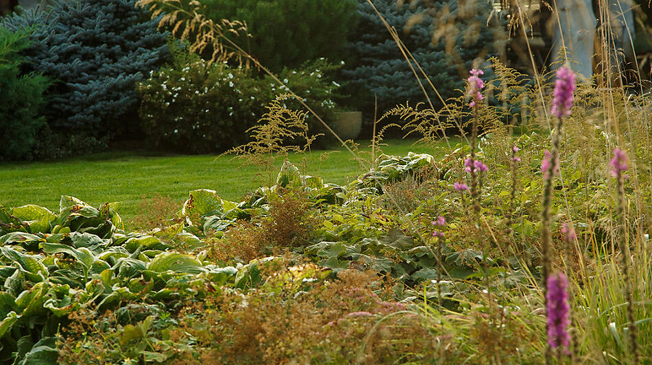 КЕДРОВАЯ УСАДЬБА в Овсянниково