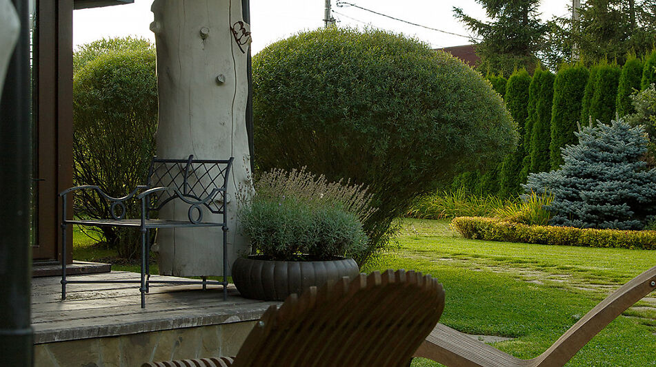 КЕДРОВАЯ УСАДЬБА в Овсянниково