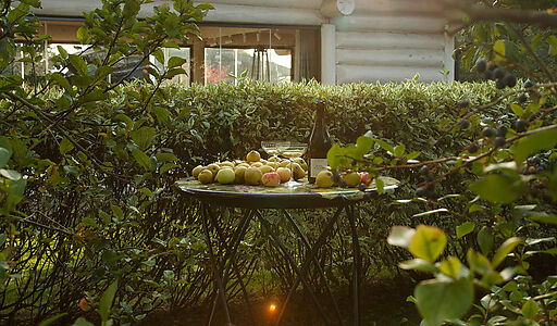 Дом с баней в п. Овсянниково