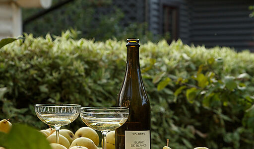 Дом с баней в п. Овсянниково