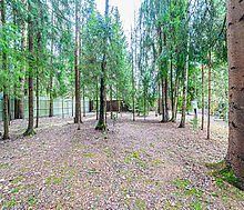 Дом у леса в КП Кезьмино