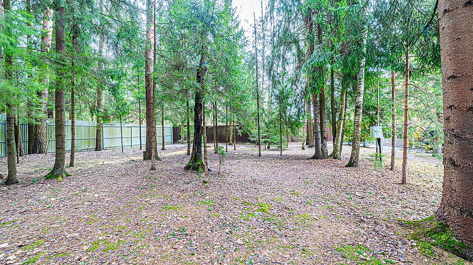 Дом у леса в КП Кезьмино