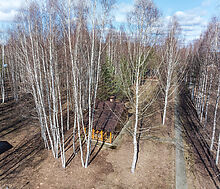 Резиденция на первой линии Волги