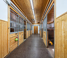 Резиденция на первой линии Волги