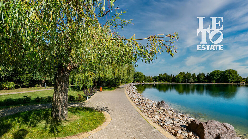 Готовый дом в Миллениум парке