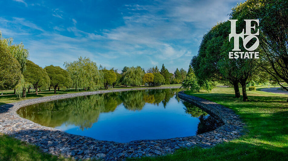 Готовый дом в Миллениум парке