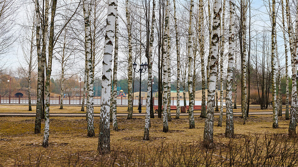 Современный дом в КП Онегино