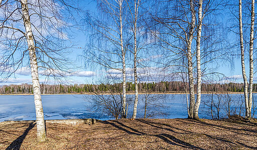 Дом в Конаково на 1 линии воды