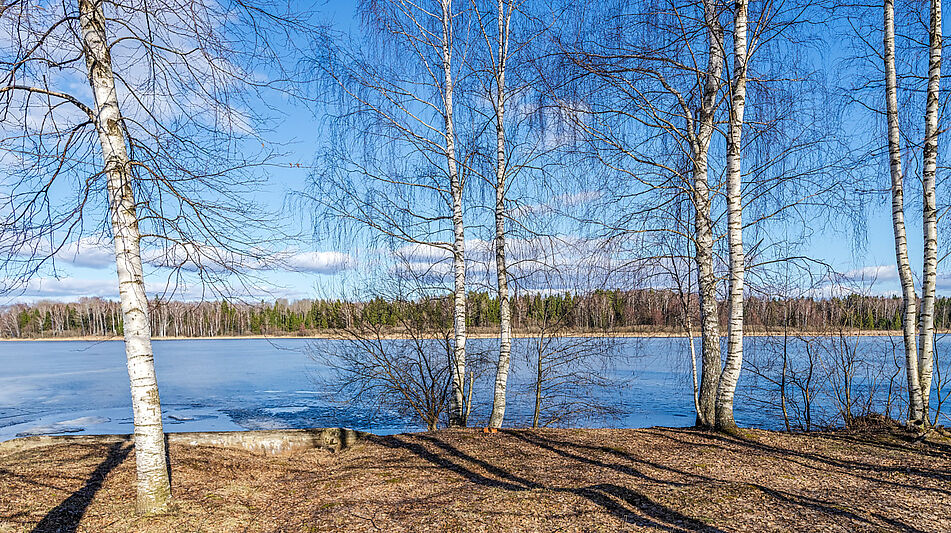Дом в Конаково на 1 линии воды