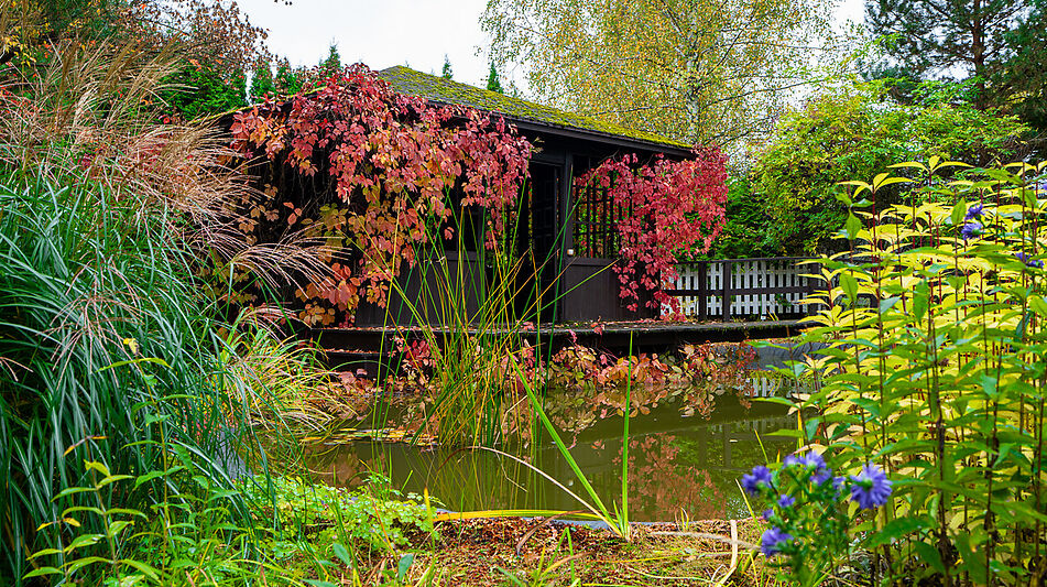 Готовый дом в КП Бенилюкс