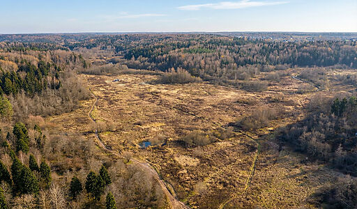 Участок в с. Ильинское