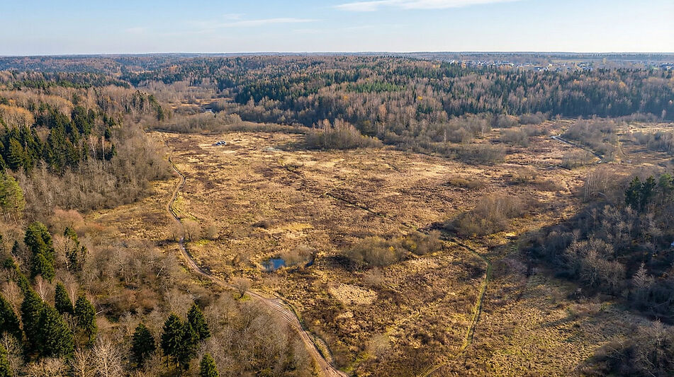 Участок в с. Ильинское
