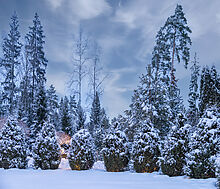 Дом в кп Никольская слобода