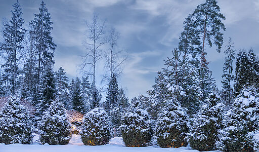 Дом в кп Никольская слобода